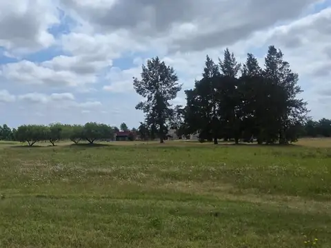 Terreno en Los Pinares C. Club