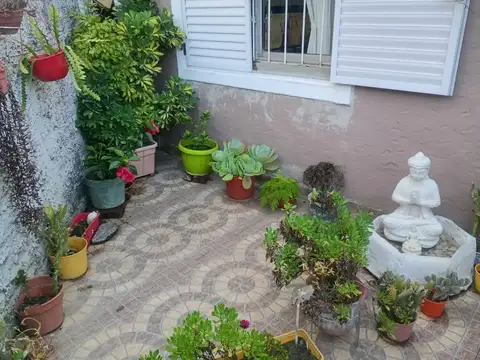 Rodríguez Flores 6000