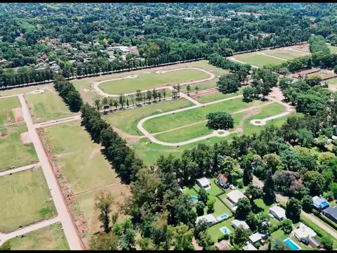 ALMAHUÈ Pilar.  Derqui al 2500