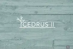 Cedrus en Monte Grande