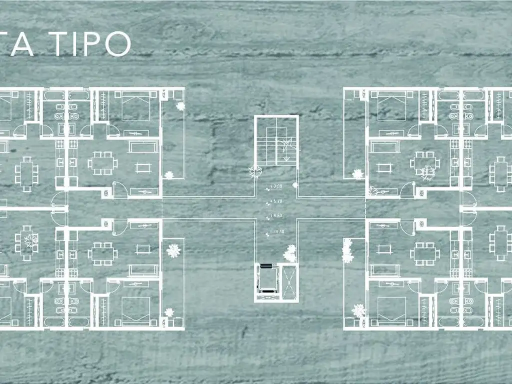 Cedrus - Entrega Diciembre 2022