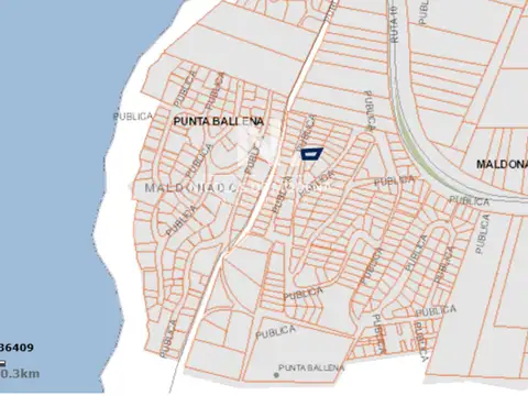 Terreno en Punta Ballena Punta del Este en venta