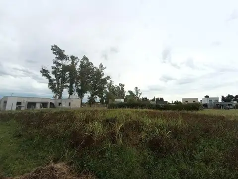 Frascaroli Barrio La Martina