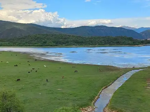 Terreno en Venta 37  mts Fondo