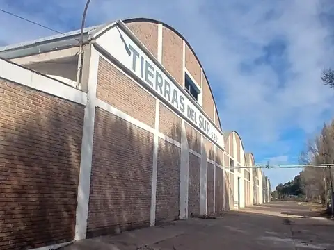 Galpón en Venta en Colonia Alvear, General Alvear