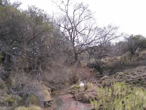 Terreno en Venta de 58431,0 m2