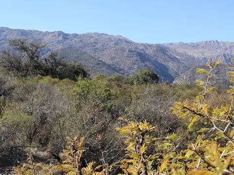 Cañada del Sauce, San Alberto, Cordoba