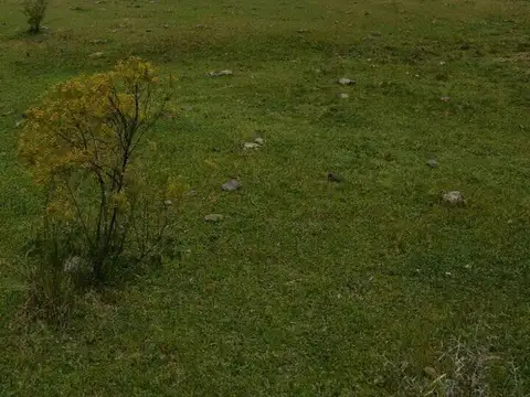Cañada del Sauce, San Alberto, Cordoba