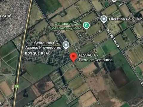 Hernan Ceriani Cernadas