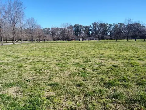GRAN LOTE EN TESSALIA - TIERRA DE CENTAUROS
