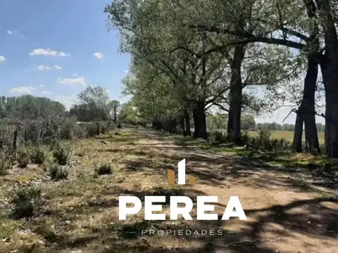 Hectarea en alquiler sobre Ruta 24 - General Rodriguez