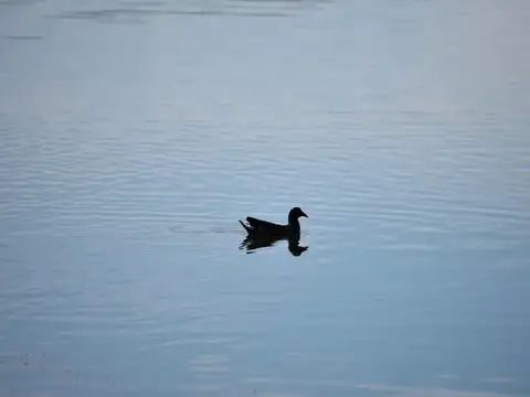 Terreno en Venta de 925,0 m2