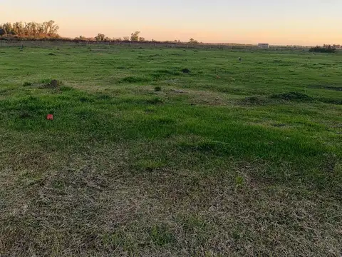 Calle Rosenbusch y Luisa Faravezzi, entre Don Bosco Santo y San Cayetano, Uribelarrea, Cañuelas.