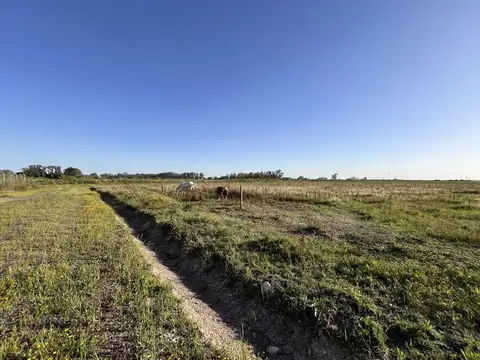 Terreno de 600 m2 a la venta en Uribelarrea - Cañuelas