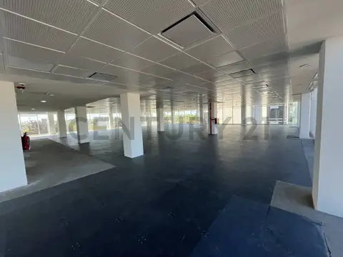 Oficina en Alquiler con 10 cocheras