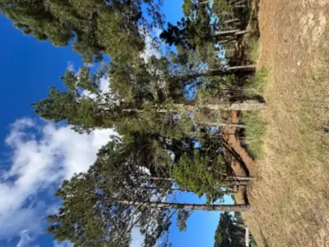 Terreno en Venta de 705,0 m2