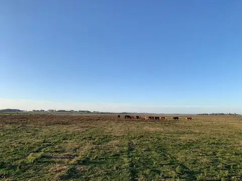 Quinta - Venta - Uruguay, Punta del Este