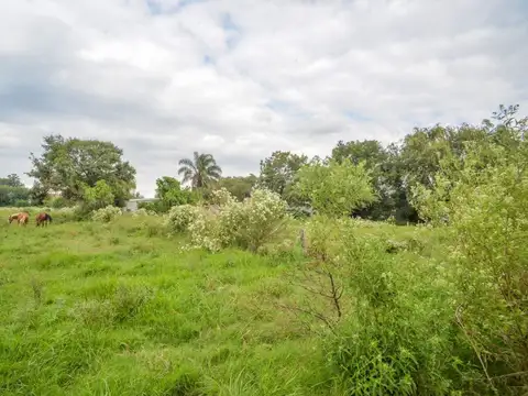 VENTA DE HECTÁREAS EN SAUCE VIEJO SOBRE RUTA 11