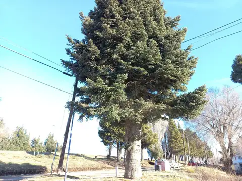 Venta Depto 2 Dormitorios Bariloche IDEAL RENTA