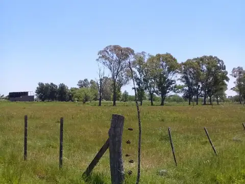 Gran lote cerca de la laguna de San Vicente
