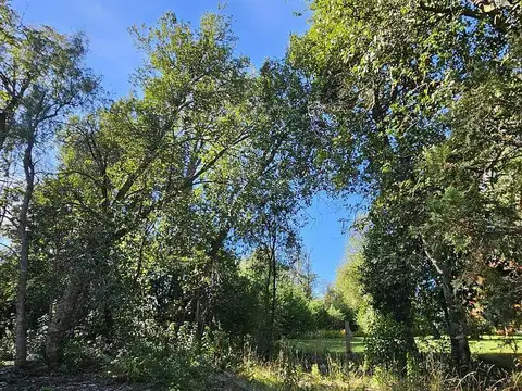 Terreno en Venta 50  mts Fondo