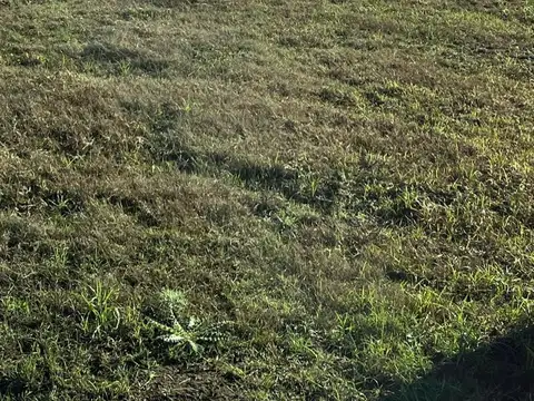 Terreno en Venta 21  mts Fondo