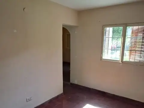 Domingo Palacios 100