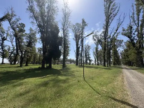 Terreno en Venta de 1290,0 m2
