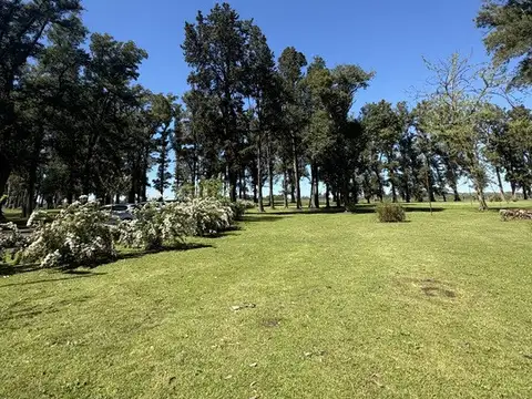 Terreno en Venta de 1290,0 m2