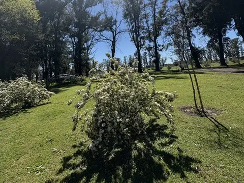 Venta lote- Tres Pinos Villa de Campo-Golf