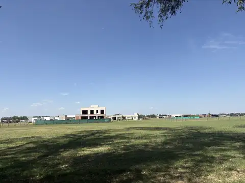 Ruta Provincial 6