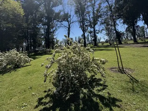 Venta lote- Tres Pinos Villa de Campo-Golf
