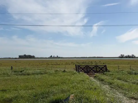 VENTA  CAMPO 2500 HAS  El Caburé