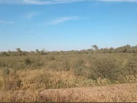 RUTA 16 100