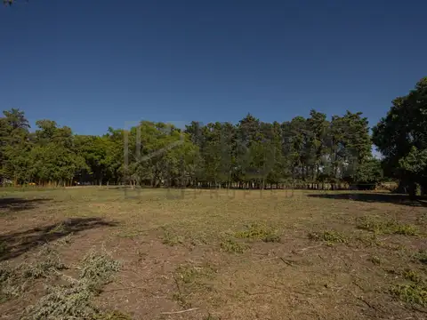 Terreno en Venta 40  mts Fondo