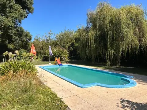 La Firmeza 100