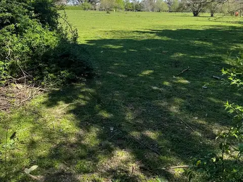 Los Jazmines y Las Campanillas