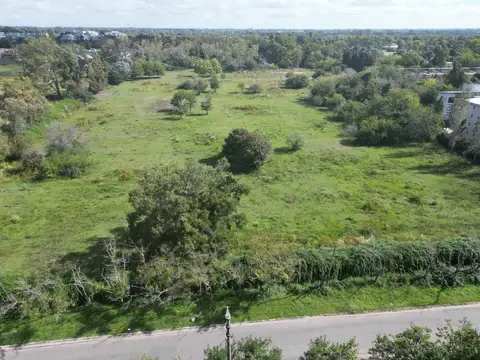 Los Jazmines y Las Campanillas