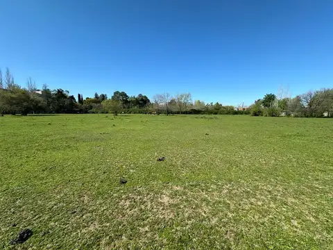 Terreno en Venta 290  mts Fondo