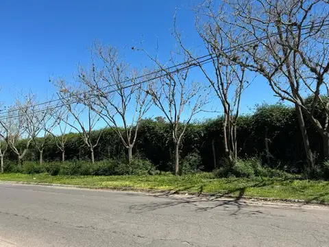 Terreno en Venta 290  mts Fondo