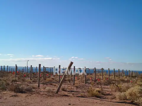 Terreno en Venta de 742,0 m2