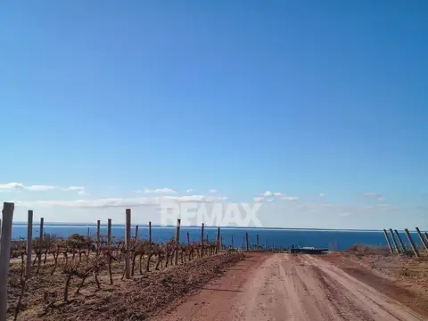 Terreno en venta en La Peninsula, Lago Mari Menuco