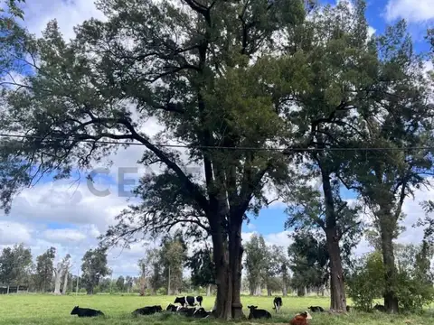 Terreno en Venta 101  mts Fondo