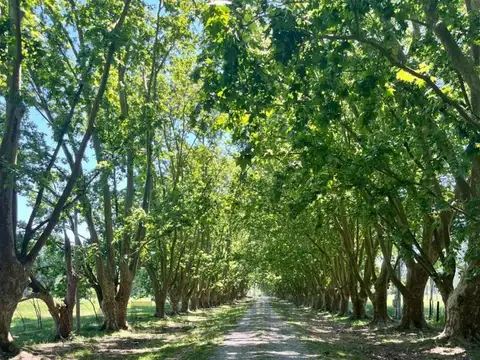 Terreno en Venta de 3,52 m2