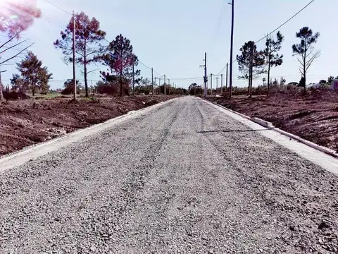 133 y  484 - J. Gorina