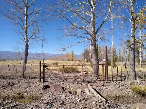 Terreno en Venta de 140000,0 m2
