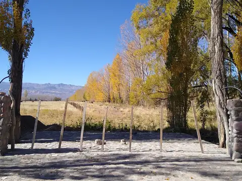 Venta 14 hectáreas en San Alberto, Uspallata, Mza