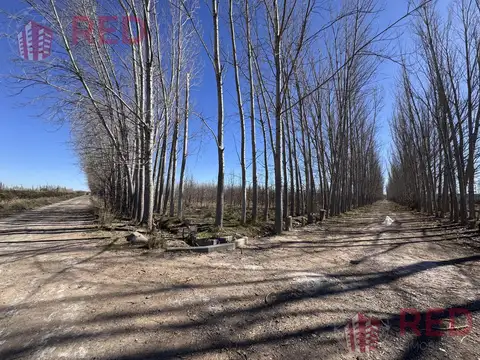 Terreno en Venta 10  mts Fondo