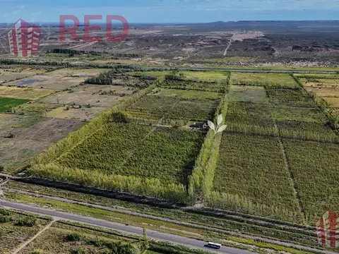 Terreno en Venta en Allen, $ 2.456.500