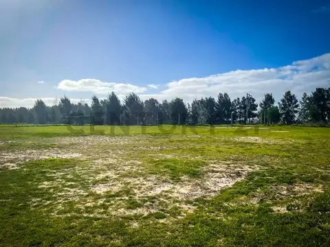 Los Castaños Nordelta